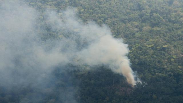 Regenwald im Dreilaendereck Kongo, Kamerun und Zentralafrikanische Republik in Bayanga, dichter Rauch steigt auf.