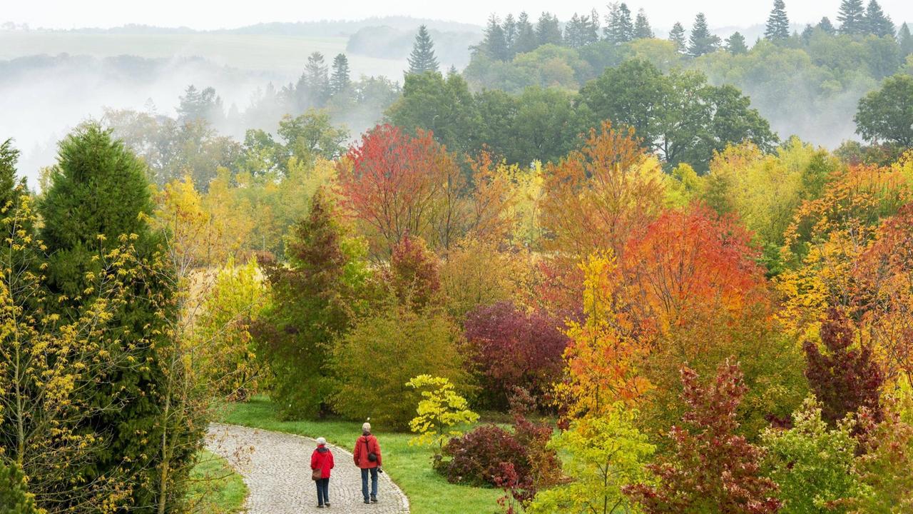 Farbenpracht im Herbst, im forstbotanischen Garten Tharandt (Sachsen)