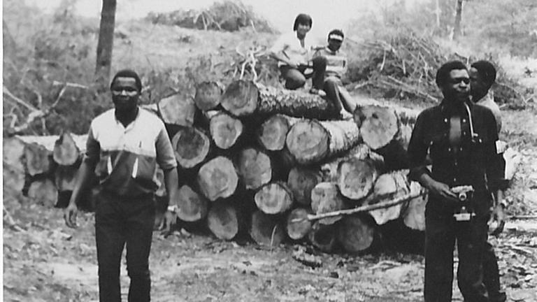 Arbeiter aus Mosambik stehen bei einem Ausflug in der DDR vor gefällten Baumstämmen