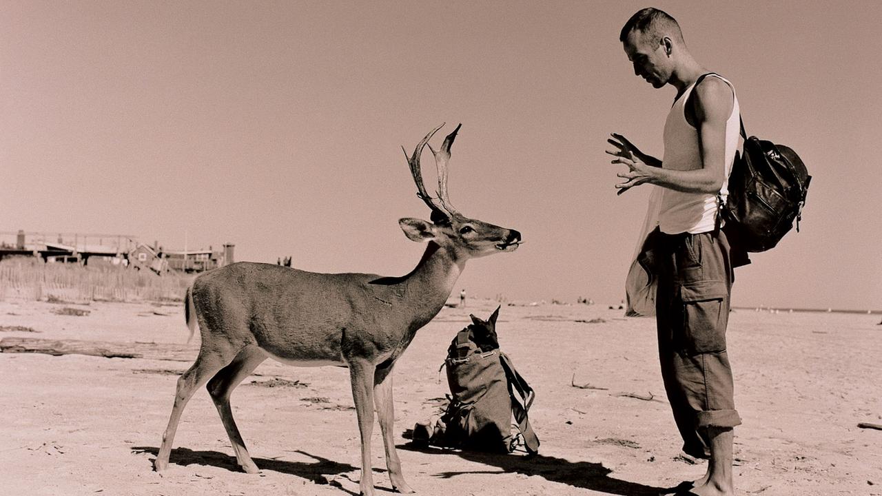 Wolfgang Tillmans, Deer Hirsch, 1995 Wolfgang Tillmans, Deer Hirsch, 1995