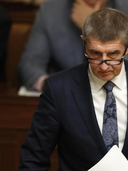 Der tschechische Ministerpräsident Andrej Babis (23.11.2018).