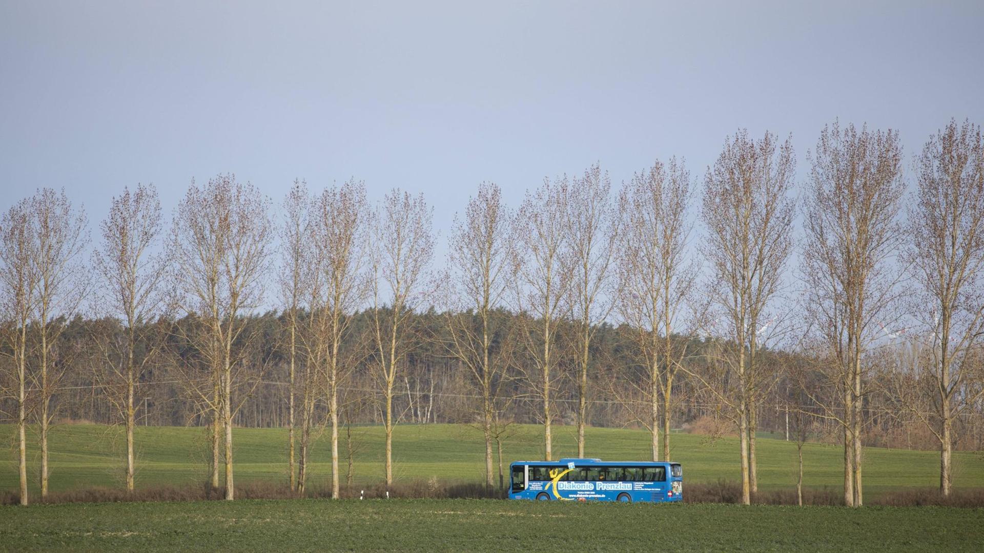 Ein Bus auf einer Landstraße in Brandenburg Ein Bus auf einer Landstraße in Brandenburg