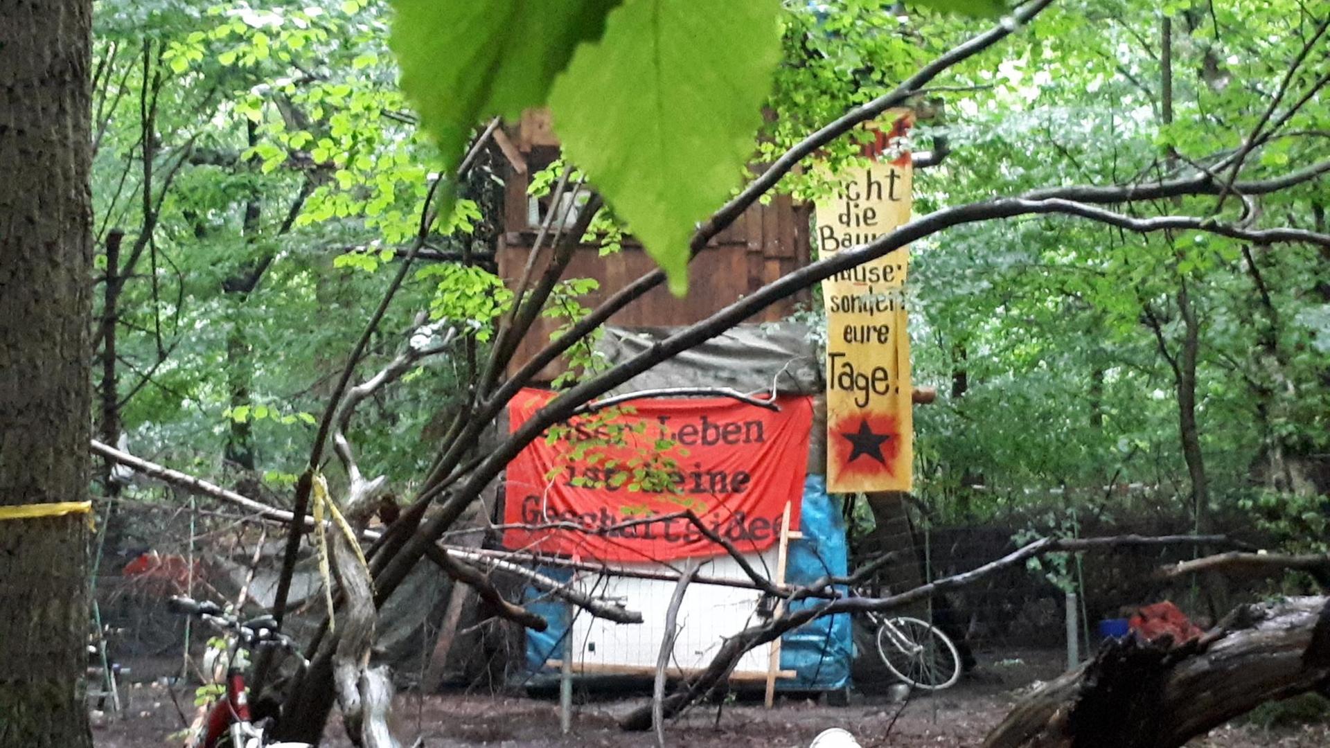 Hütten von Baumbesetzern im Hambacher Forst Hütten von Baumbesetzern im Hambacher Forst