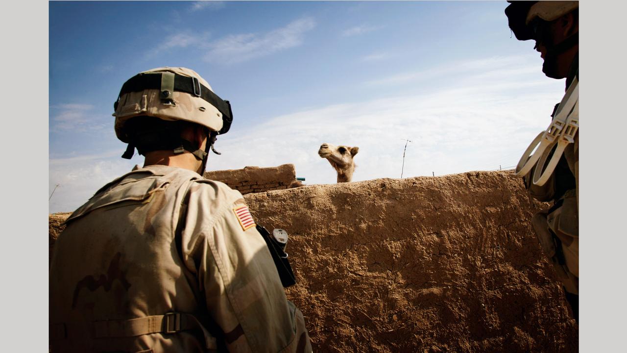 Der Kopf eines Kamels ist hinter einer Mauer zu sehen, davor zwei US-Soldaten von hinten im Jahr 2005 im Irak: Foto aus dem Bildband "hello camel" von Christoph Bangert über die Absurdität von Krieg Der Kopf eines Kamels ist hinter einer Mauer zu sehen, davor zwei US-Soldaten von hinten im Jahr 2005 im Irak: Foto aus dem Bildband "hello camel" von Christoph Bangert über die Absurdität von Krieg