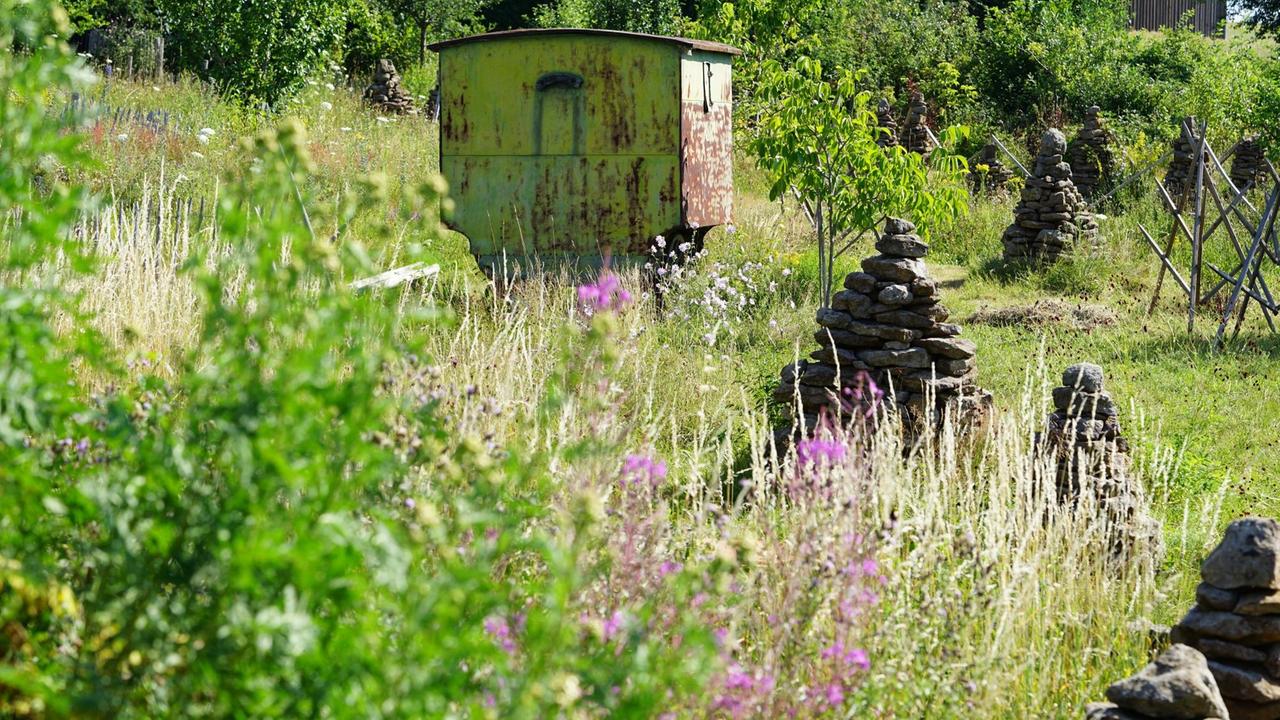 Eine saftige hochgewachsene grüne Wiese, bestückt mit Schutthaufen, am Ende des Gartens ein Bauwagen. Eine saftige hochgewachsene grüne Wiese, bestückt mit Schutthaufen, am Ende des Gartens ein Bauwagen.