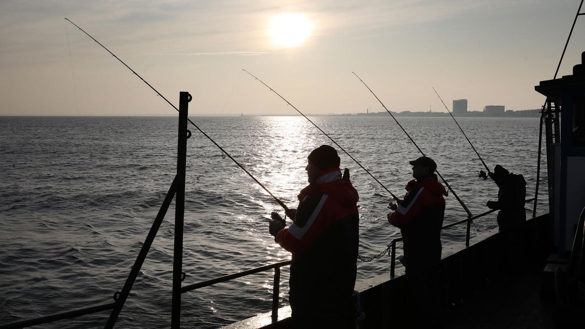 Auf der Ostsee vor Warnemünde versuchen Dorschangler an Bord des Angelkutters «Storkow» ihr Glück. Auf der Ostsee vor Warnemünde versuchen Dorschangler an Bord des Angelkutters «Storkow» ihr Glück.