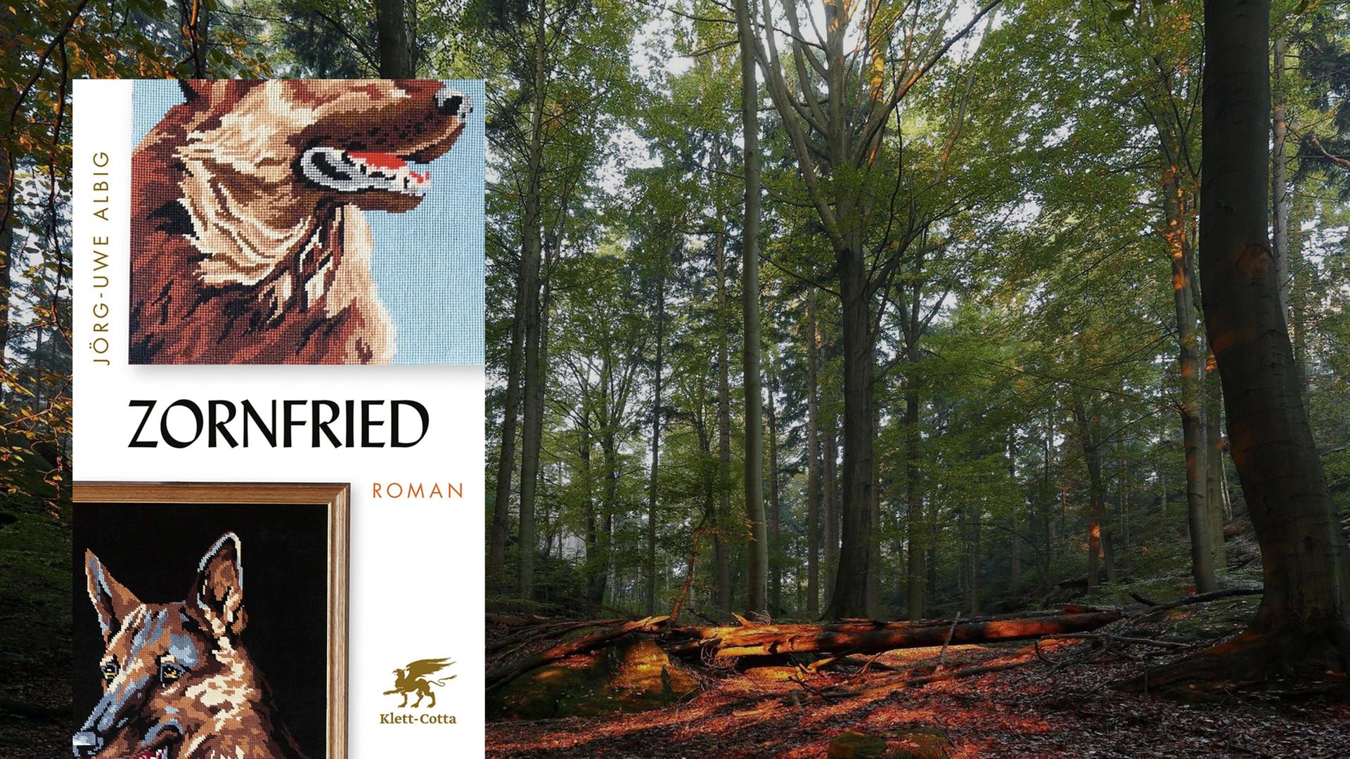 Eine Montage zeigt das Buchcover von "Zornfried" von Jörg-Uwe Albig neben einem stimmungsvollen Herbstwald