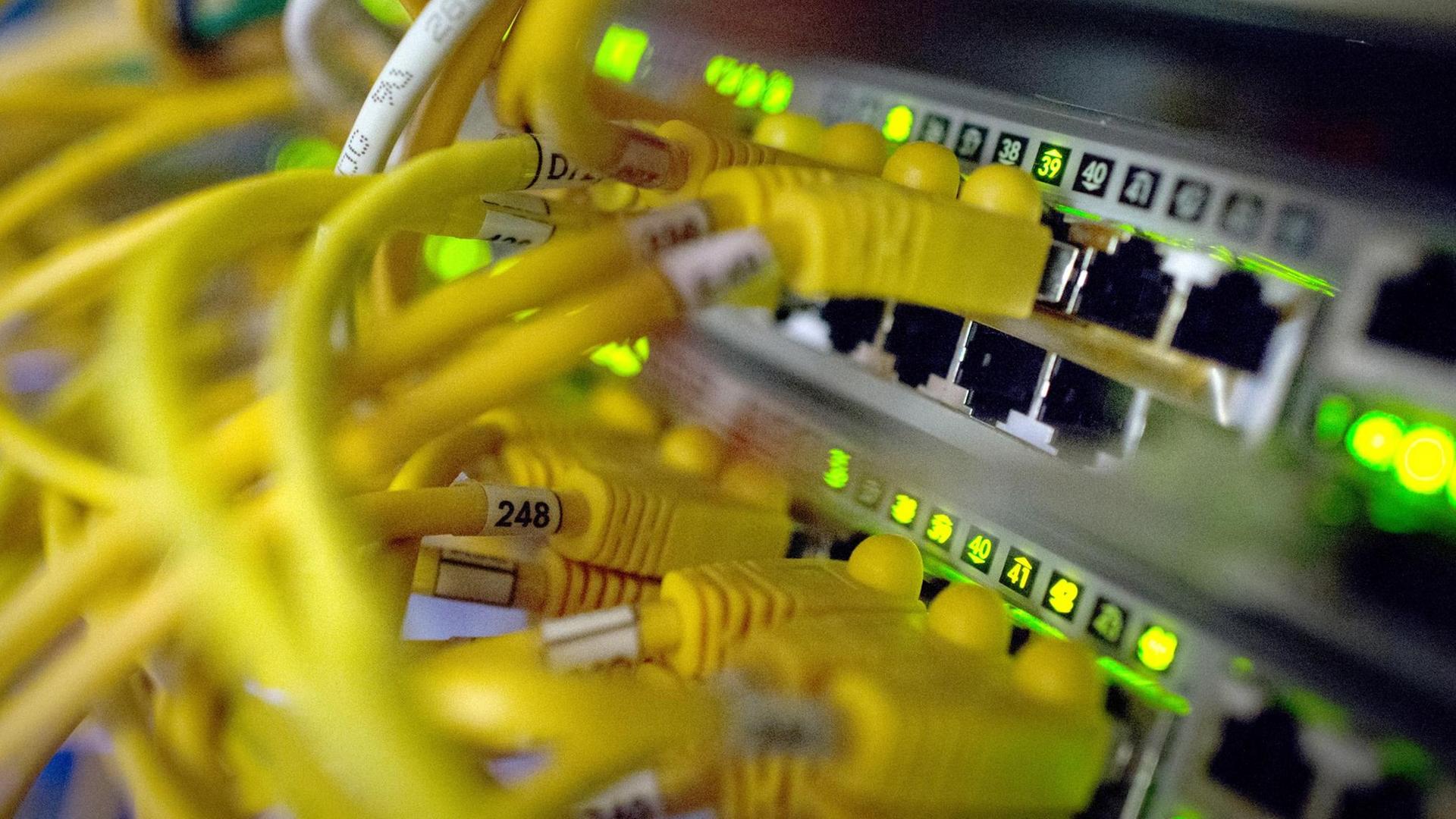 Zahlreiche Netzwerkkabel stecken am 21.07.2014 in Routern in einem Serverrraum im Zentrum für IT-Sicherheit in Bochum (Nordrhein-Westfalen). Zahlreiche Netzwerkkabel stecken am 21.07.2014 in Routern in einem Serverrraum im Zentrum für IT-Sicherheit in Bochum (Nordrhein-Westfalen).