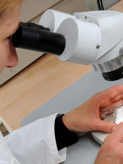 Eine Wissenschaftlerin blickt durch ein Mikroskop auf bronzene Nadeln