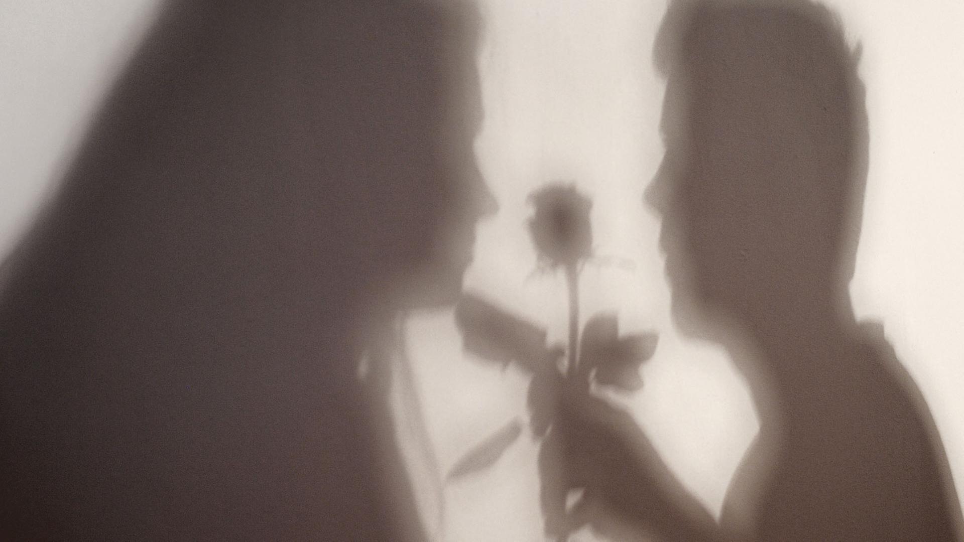 Der Schatten einer Frau und eines Mannes, der ihr eine Rose übergibt, sind an eine Wand geworfen. Der Schatten einer Frau und eines Mannes, der ihr eine Rose übergibt, sind an eine Wand geworfen.