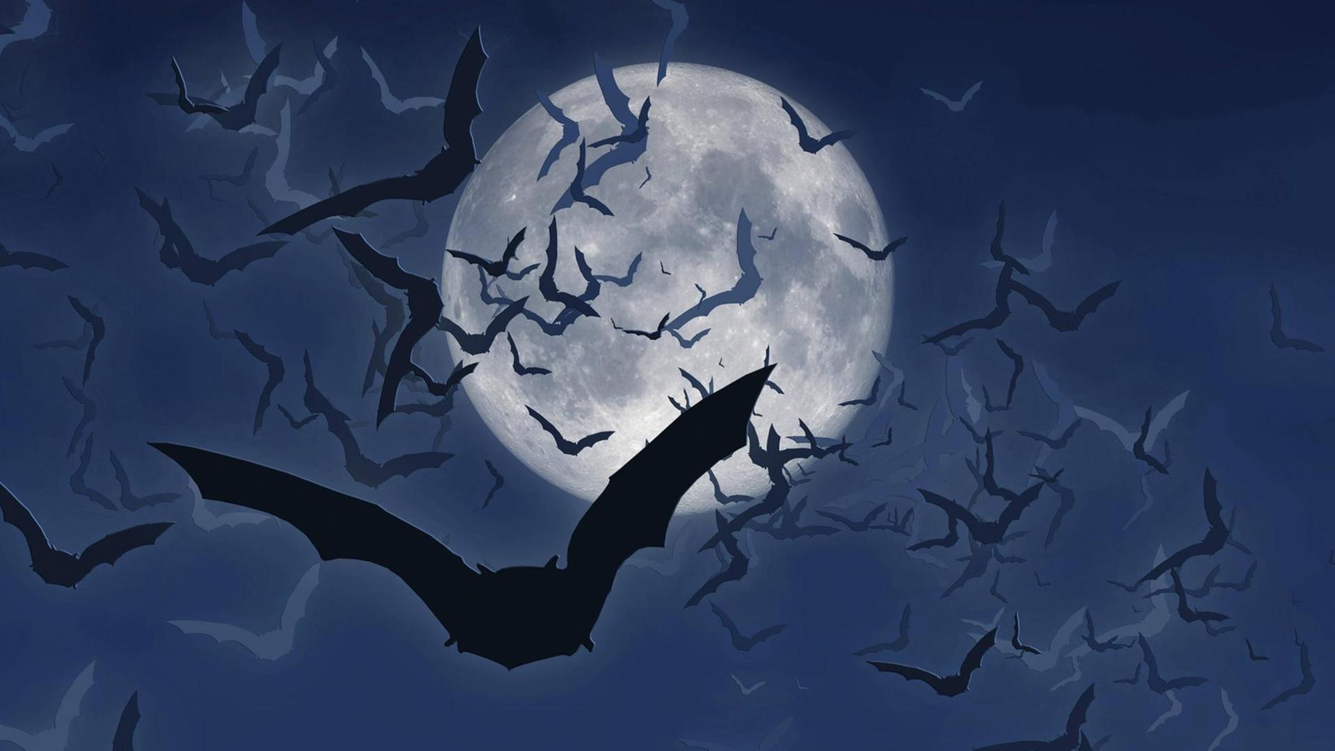 Ein Schwarm Fledermäuse fliegt über den nächtlichen Himmel, im Hintergrund leuchtet der Vollmond. Ein Schwarm Fledermäuse fliegt über den nächtlichen Himmel, im Hintergrund leuchtet der Vollmond.