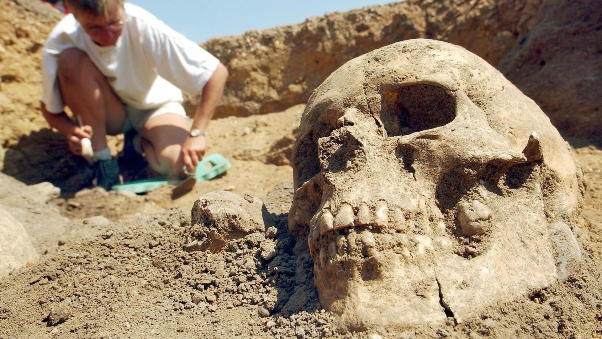 Ein ca. 4.000 Jahre alter Totenschädel Ein ca. 4.000 Jahre alter Totenschädel