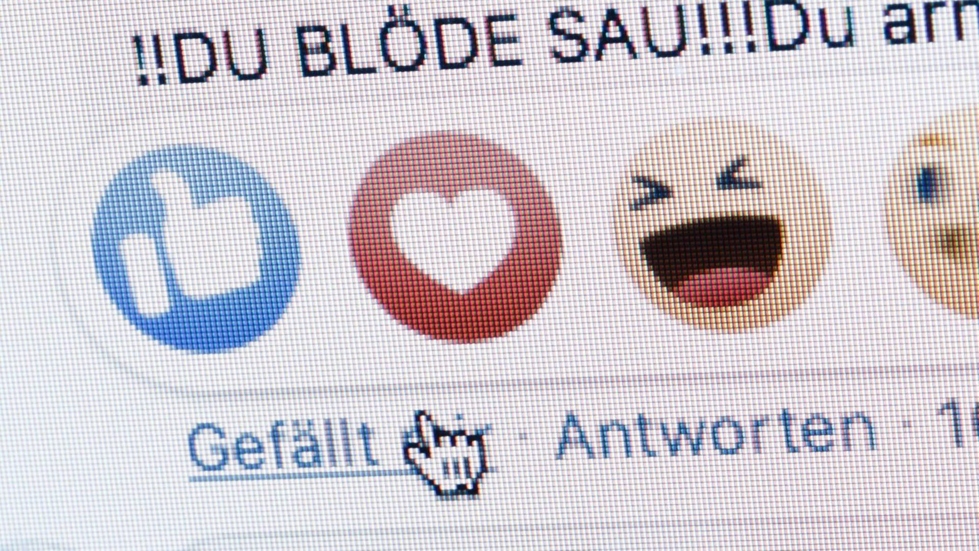 Neben dem "Gefällt mir"-Button von Facebook sind die Worte "Du blöde Sau" zu sehen. Neben dem "Gefällt mir"-Button von Facebook sind die Worte "Du blöde Sau" zu sehen.