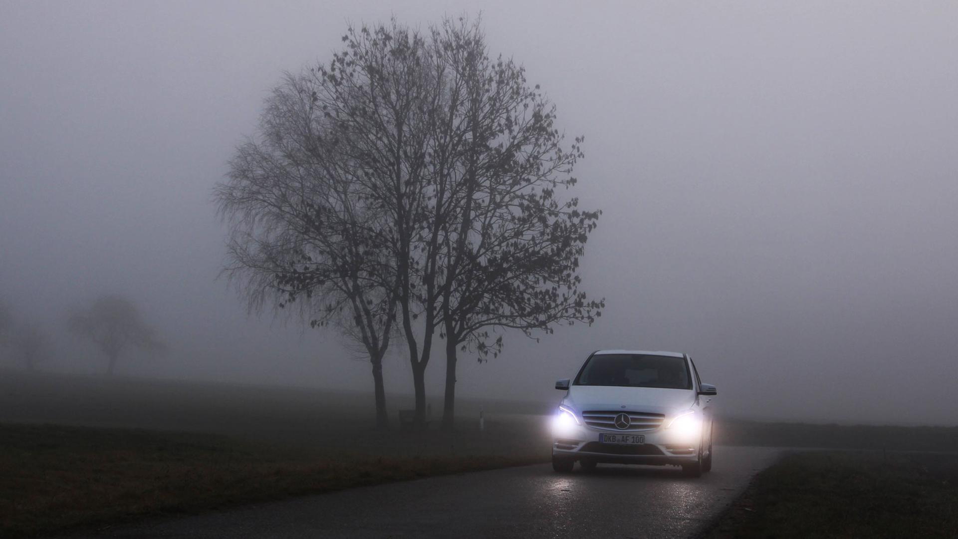Ein Auto fährt im Nebel auf einer Landstraße.