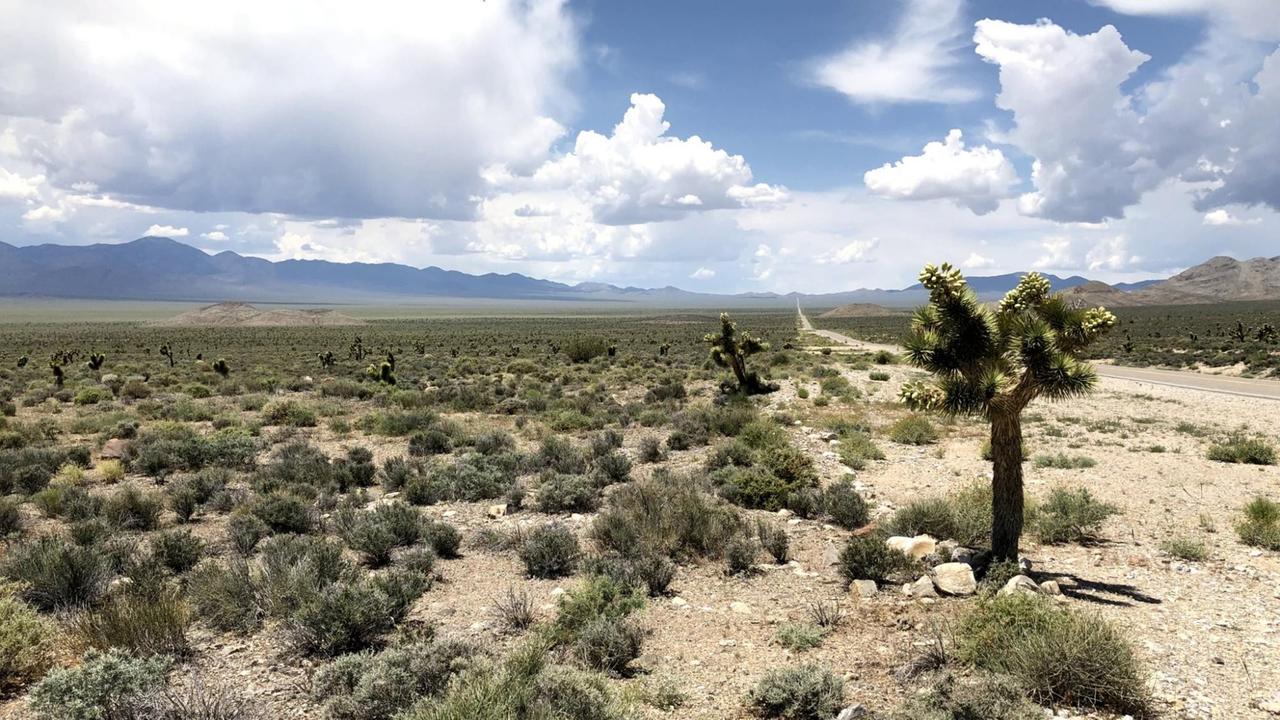 Blick in die Wüste auf dem Weg zur Area 51 in Nevada Blick in die Wüste auf dem Weg zur Area 51 in Nevada