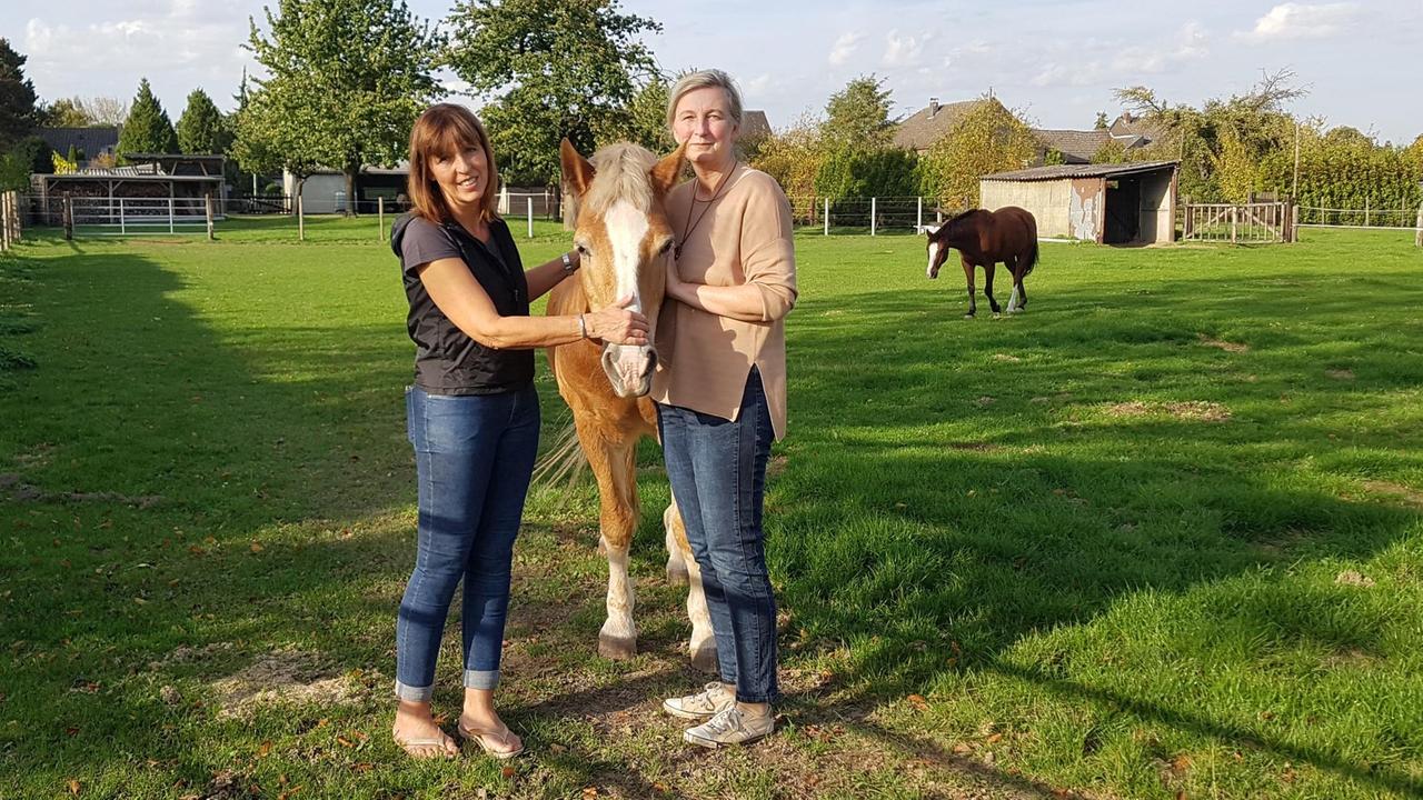 Marita Dresen und Birgit Cichy stehen auf einer saftig-grünen Wiese auf einer Wiese der Familie Dresen in Kuckum. Sie halten ein hellbraunes Pferd, im Hintergrund ist ein dunkelbraunes Pferd zu sehen. Marita Dresen und Birgit Cichy stehen auf einer saftig-grünen Wiese auf einer Wiese der Familie Dresen in Kuckum. Sie halten ein hellbraunes Pferd, im Hintergrund ist ein dunkelbraunes Pferd zu sehen.