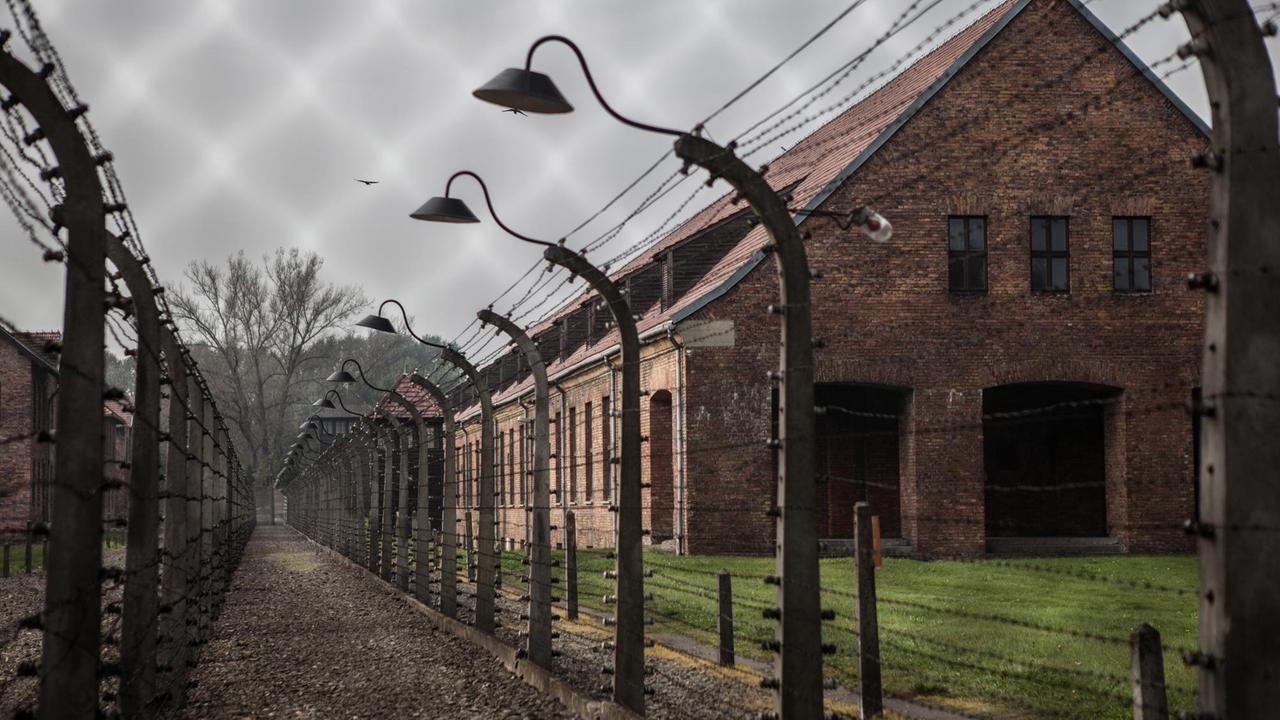 Celan verlor seine Eltern in einem Konzentrationslager - er selbst entgeht der Deportation durch die Arbeit als Straßenbauer in Rumänien Celan verlor seine Eltern in einem Konzentrationslager - er selbst entgeht der Deportation durch die Arbeit als Straßenbauer in Rumänien