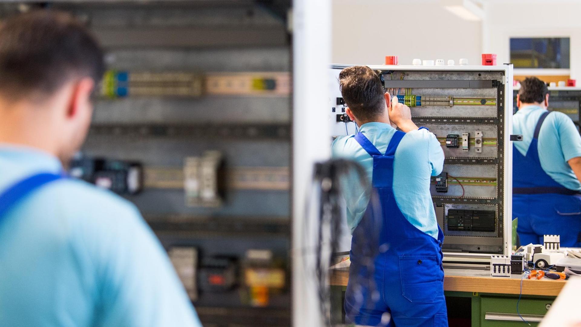 Drei junge Flüchtlinge arbeiten im Ausbildungszentrum der Siemens Professional Education in Leipzig an der Verdrahtung eines Schaltschranks. Drei junge Flüchtlinge arbeiten im Ausbildungszentrum der Siemens Professional Education in Leipzig an der Verdrahtung eines Schaltschranks.