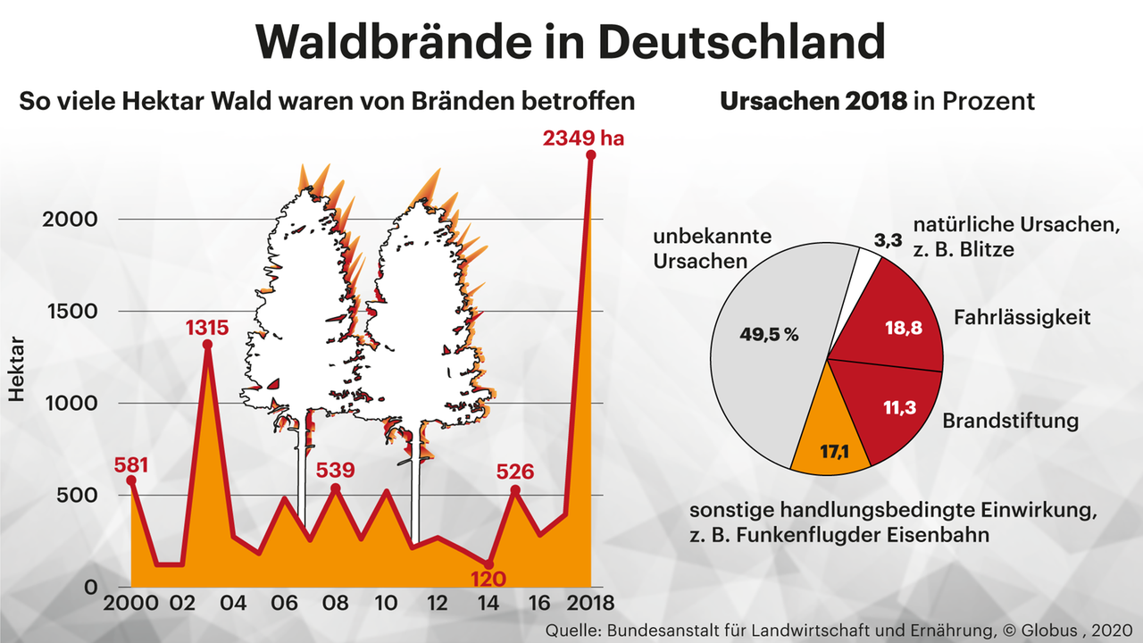 Grafik zeigt Waldbrände und deren Ursachen Grafik zeigt Waldbrände und deren Ursachen