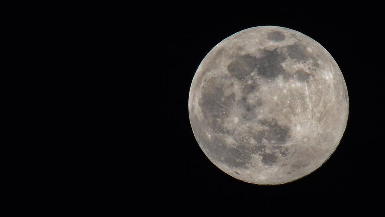 Der Vollmond Der Vollmond