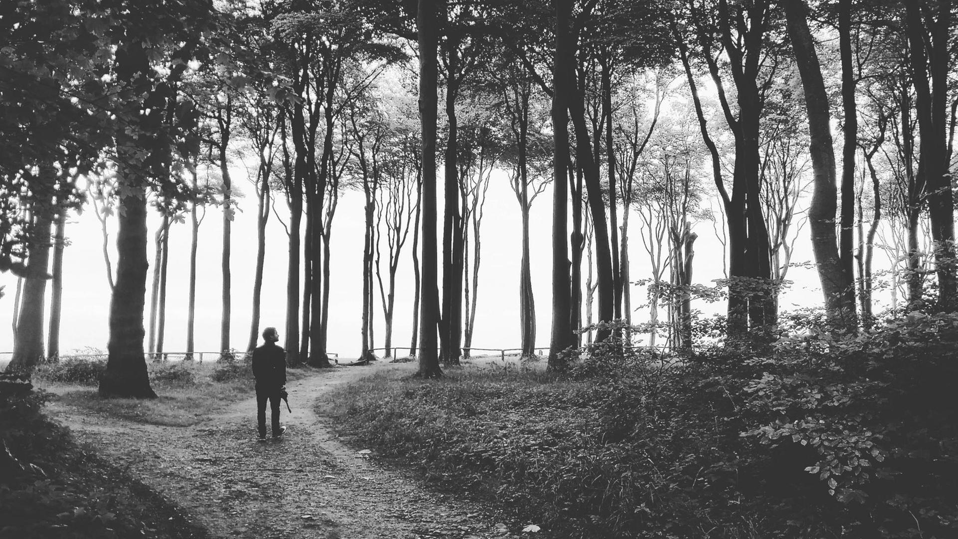 Ein Mann geht alleine an einer Weggabelung vorbei und bleibt mitten in dem Wald stehen. Ein Mann geht alleine an einer Weggabelung vorbei und bleibt mitten in dem Wald stehen.