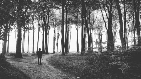 Ein Mann geht alleine an einer Weggabelung vorbei und bleibt mitten in dem Wald stehen.