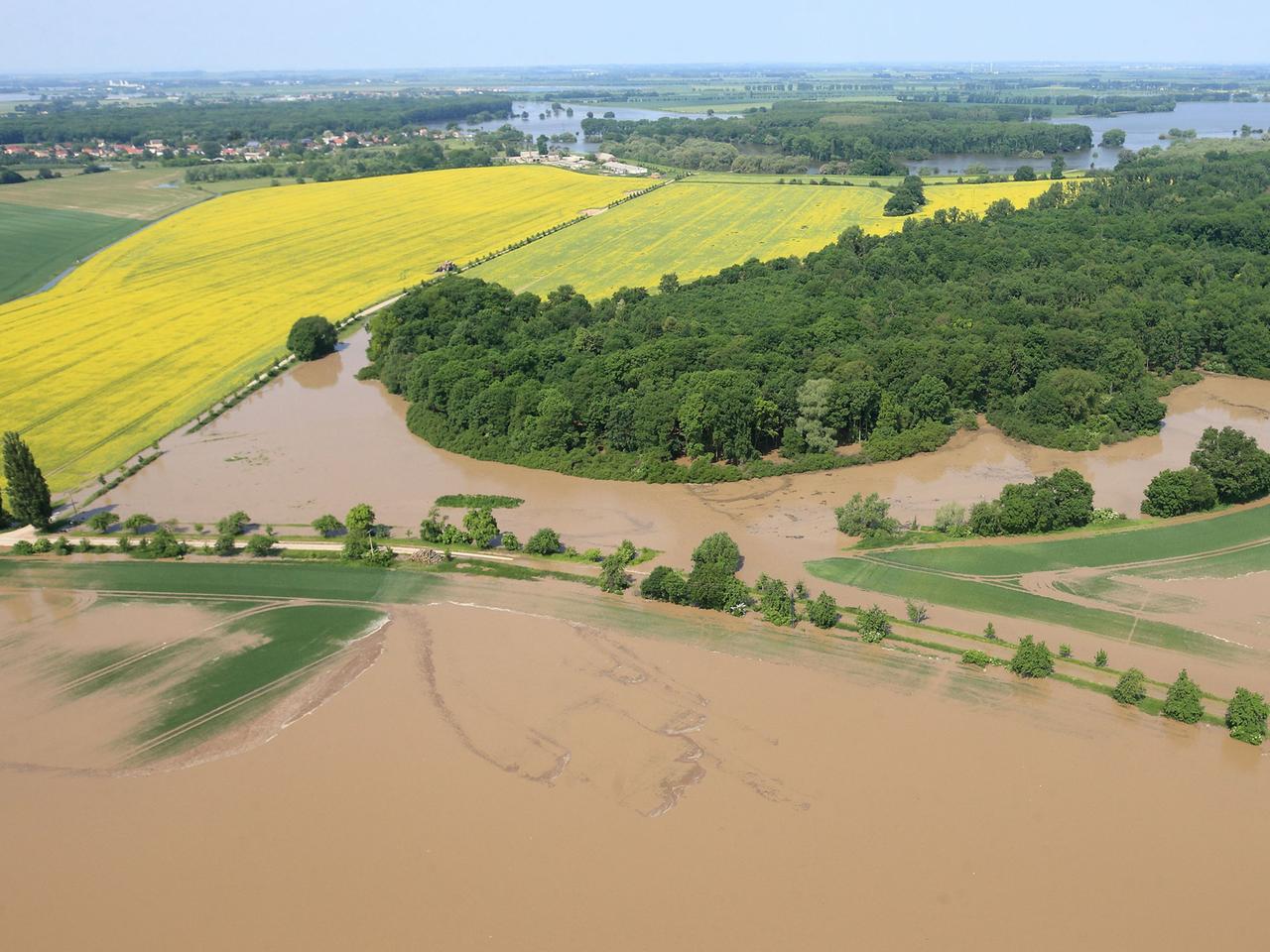 Überschwemmte Landschaft am Zusammenfluß von Saale und Elbe bei Groß Rosenburg (Sachsen-Anhalt), aufgenommen am 09.06.2013. Die Hochwassersituation an der Elbe spitzt sich weiter zu.