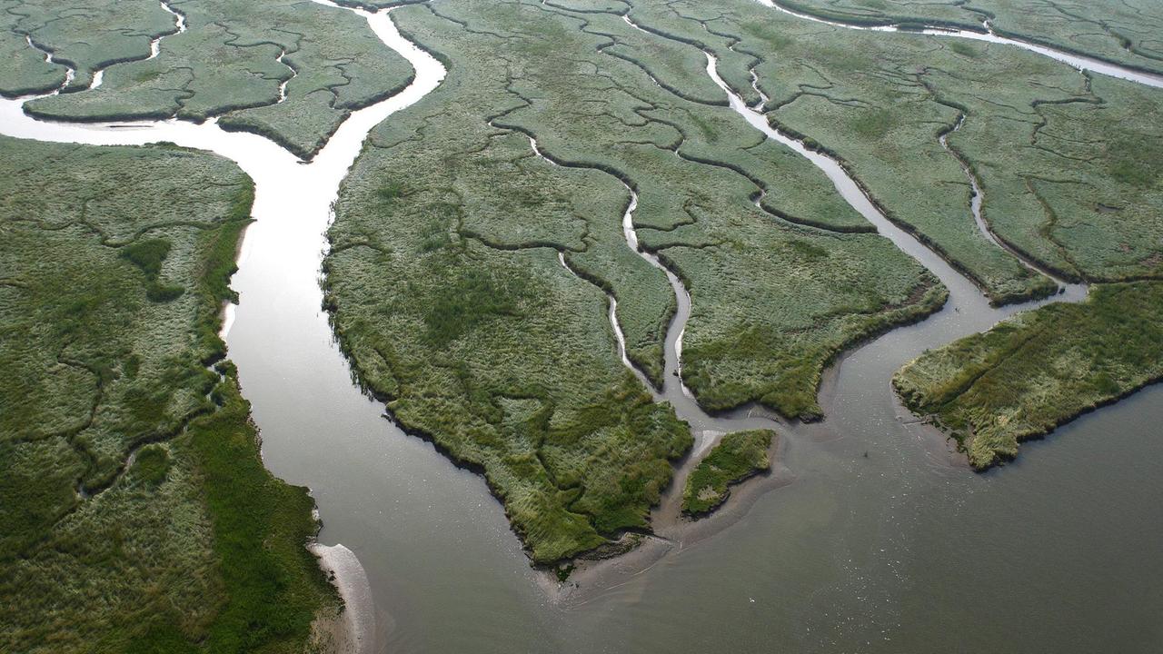 Ein Flussdelta in den Niederlanden aus der Luft Ein Flussdelta in den Niederlanden aus der Luft