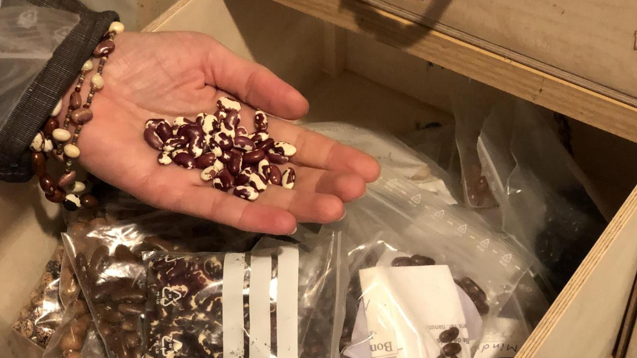 Eine Schublade mit Bohnen Eine Schublade mit Bohnen