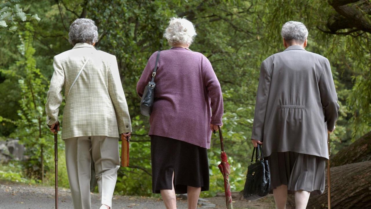Drei Seniorinnen gehen am 27.8.2003 im Kasseler Bergpark Wilhelmshöhe spazieren.