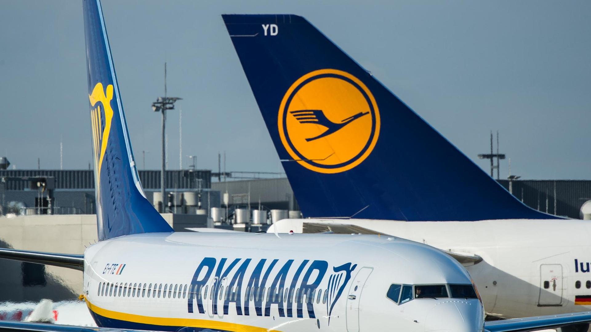 Ein Flugzeug der Fluglinie Ryanair rollt am 02.11.2016 auf den Flughafen in Frankfurt am Main (Hessen) ber das Vorfeld. Im Hintergrund ist die Heckflosse einer Lufthansa-Maschine zu sehen. Ein Flugzeug der Fluglinie Ryanair rollt am 02.11.2016 auf den Flughafen in Frankfurt am Main (Hessen) ber das Vorfeld. Im Hintergrund ist die Heckflosse einer Lufthansa-Maschine zu sehen.