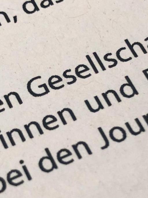 In einem gedruckten Grußwort zur Berlinale sind mehrmals Gendersternchen zu sehen. Foto: Jörg Carstensen/dpa