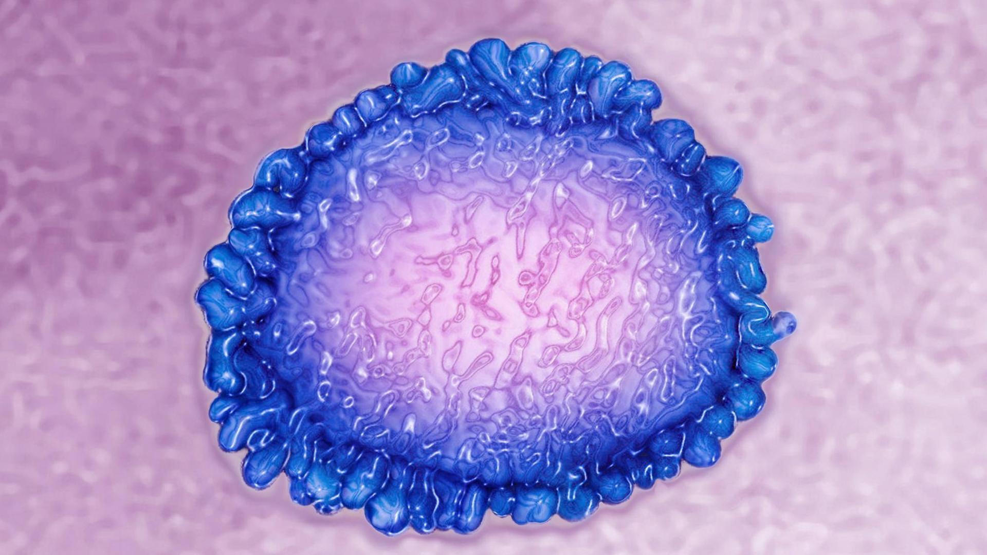 Bild eines Coronavirus, das mit Hilfe von High-Dynamic-Range-Imaging (HDRI) aus einem mit Transmissionselektronenmikroskop erzeugt wird. Viraler Durchmesser etwa 80-160 nm. Bild eines Coronavirus, das mit Hilfe von High-Dynamic-Range-Imaging (HDRI) aus einem mit Transmissionselektronenmikroskop erzeugt wird. Viraler Durchmesser etwa 80-160 nm.