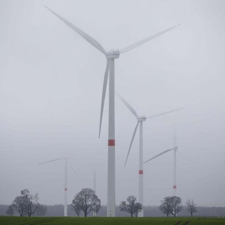 Windräder stehen im dichten Nebel auf einer Wiese in Brandenburg. 