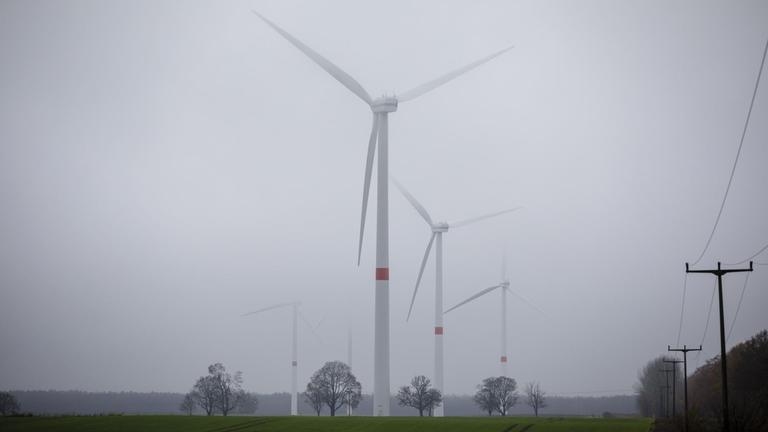 Windräder stehen im dichten Nebel auf einer Wiese in Brandenburg. 