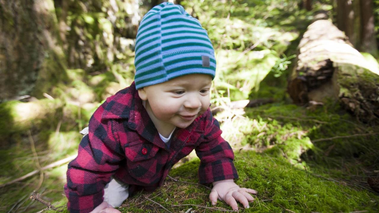 Ein kleiner Junge mit blau gestreifter Mütze und rot-schwarz karierter Jacke krabbelt vergnügt über einen moosigen Waldboden. Ein kleiner Junge mit blau gestreifter Mütze und rot-schwarz karierter Jacke krabbelt vergnügt über einen moosigen Waldboden.