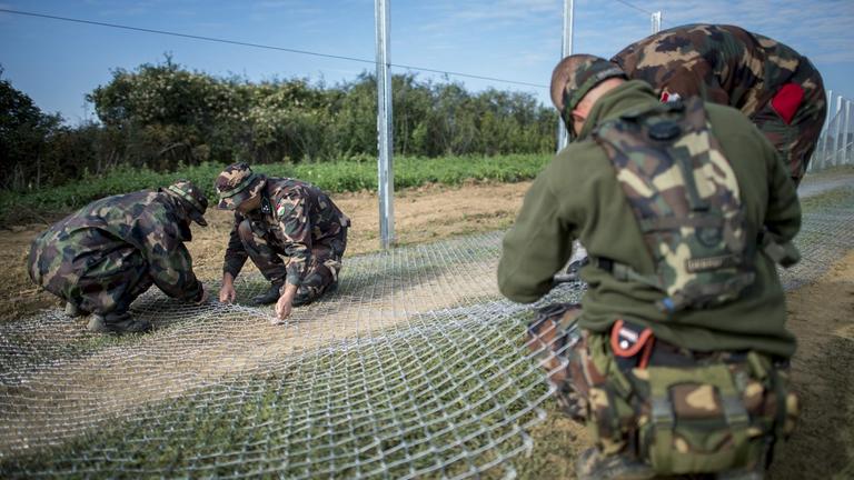 Soldaten bauen einen Zaun an der kroatisch-ungarischen Grenze Soldaten bauen einen Zaun an der kroatisch-ungarischen Grenze