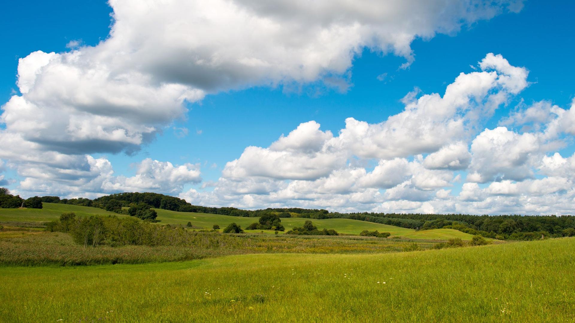 Die uckermärkische Landschaft nahe Altkünkendorf (Brandenburg). Die uckermärkische Landschaft nahe Altkünkendorf (Brandenburg).