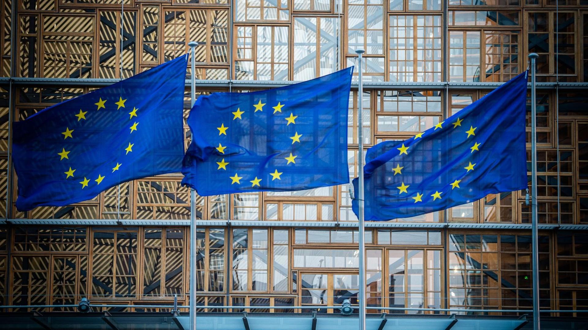 Flaggen der Europäischen Union wehen im Wind vor dem Europa-Gebäude in Brüssel. Flaggen der Europäischen Union wehen im Wind vor dem Europa-Gebäude in Brüssel.