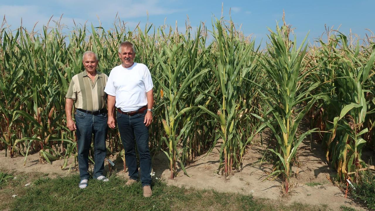 Landwirt Dieter Helm (l.) mit einem Kollegen vor einem Maisfeld. Landwirt Dieter Helm (l.) mit einem Kollegen vor einem Maisfeld.