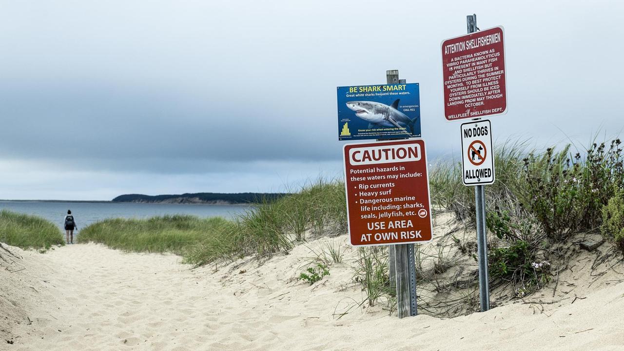Haiwarnung und andere Warnschilder in Wellfleet in Cape Cod. Links führt ein Dünenweg entlang, am Ende ist eine Person zu sehen.