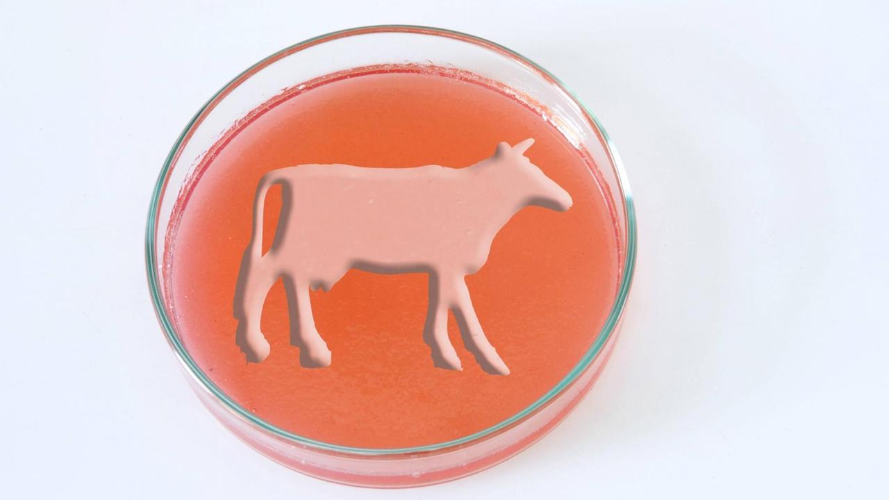 Eine Schale mit roter Flüssigkeit, auf der symbolisch eine Kuh dargestellt ist. Eine Schale mit roter Flüssigkeit, auf der symbolisch eine Kuh dargestellt ist.