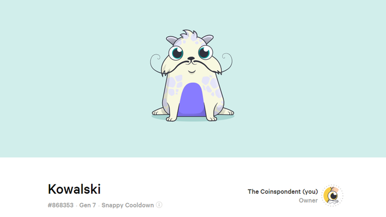 Die Schöpfung des Autors: Cryptocat "Kowalski" Die Schöpfung des Autors: Cryptocat "Kowalski"