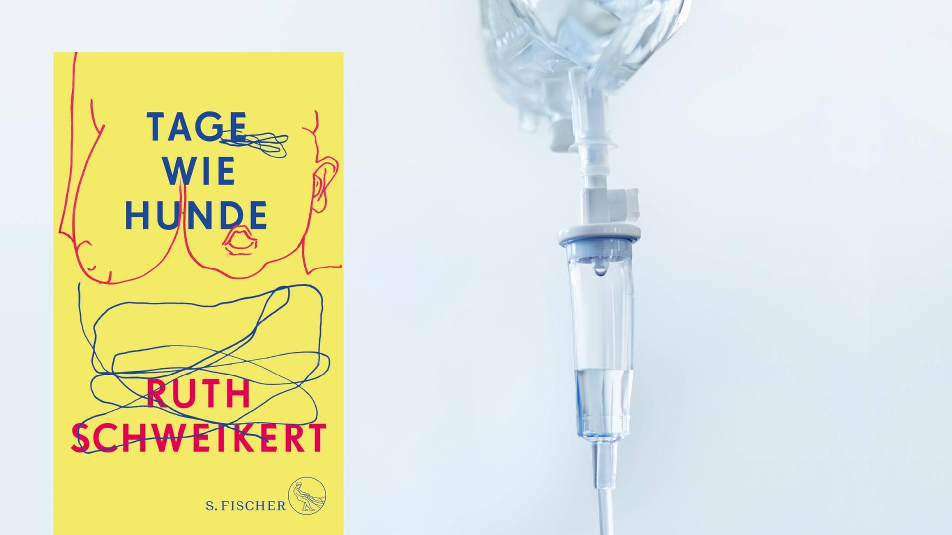 Buchcover: Ruth Schweikert: „Tage wie Hunde“ Buchcover: Ruth Schweikert: „Tage wie Hunde“