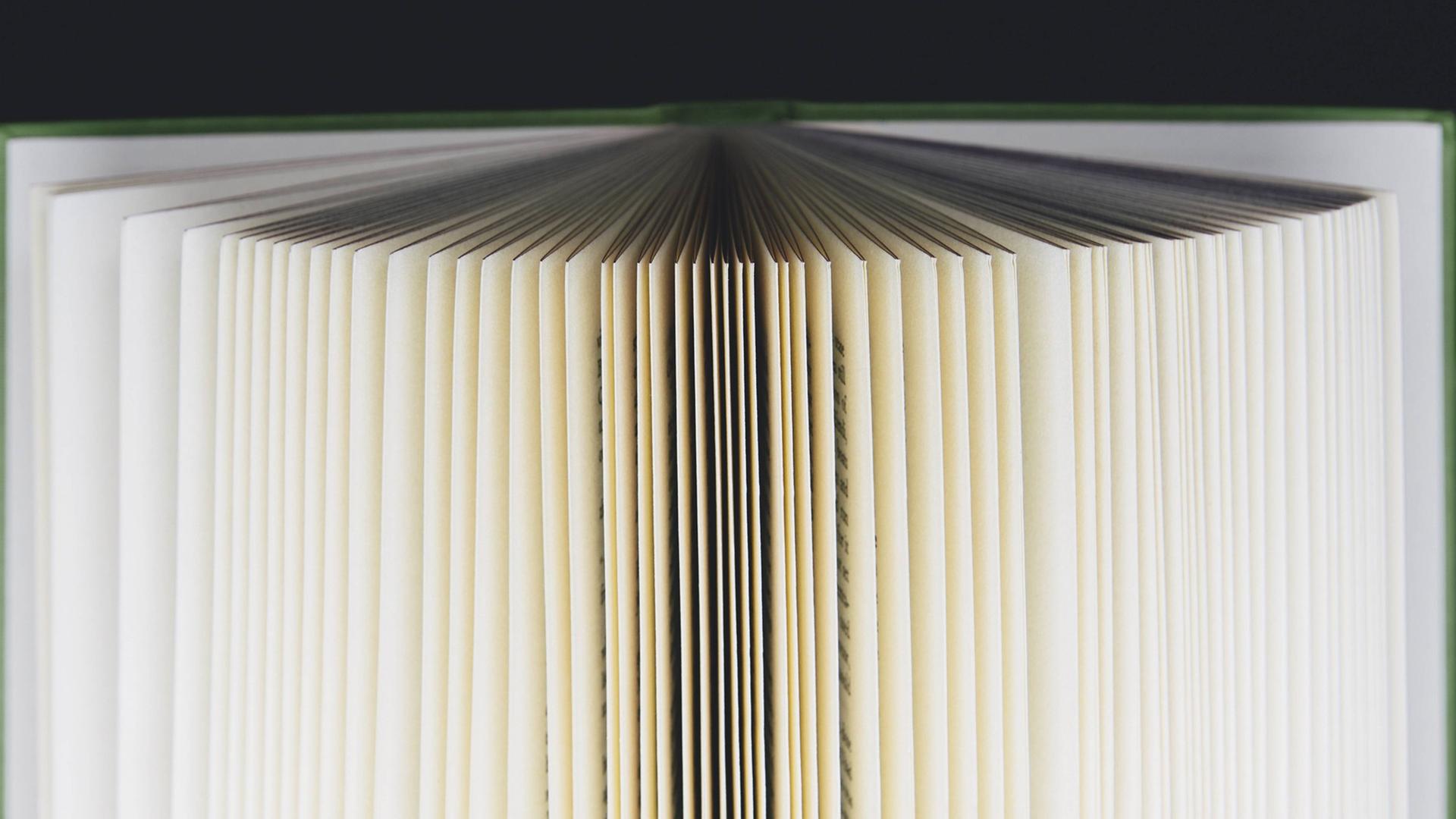 Ein Buch fächerartig aufgeschlagen Ein Buch fächerartig aufgeschlagen