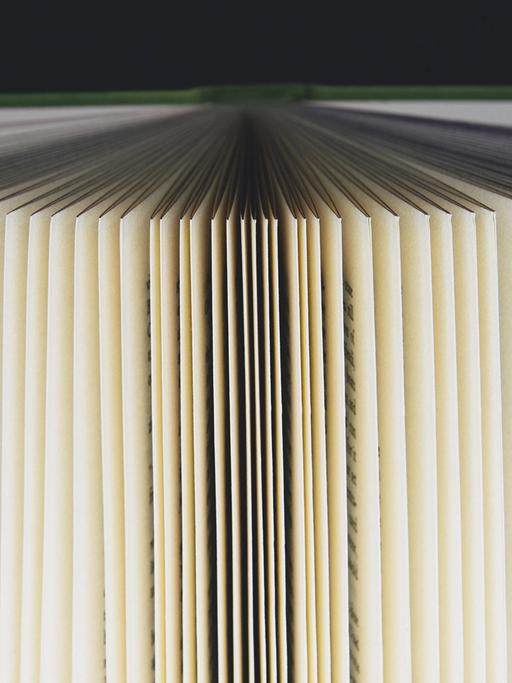 Ein Buch fächerartig aufgeschlagen