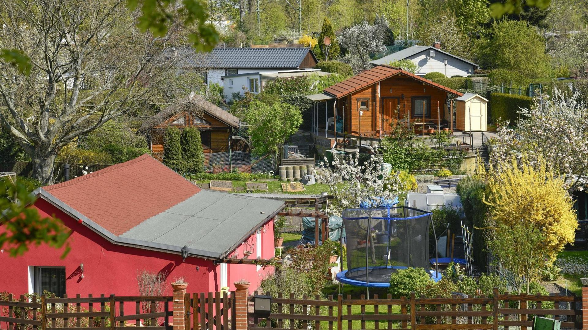 Mehrere Gartenhäuser sind zwischen Bäumen, Sträuchern und Wiesen zu sehen. Im Vordergrund blüht ein gelber Forsythienstrauch neben einem Trampolin für Kinder. Mehrere Gartenhäuser sind zwischen Bäumen, Sträuchern und Wiesen zu sehen. Im Vordergrund blüht ein gelber Forsythienstrauch neben einem Trampolin für Kinder.