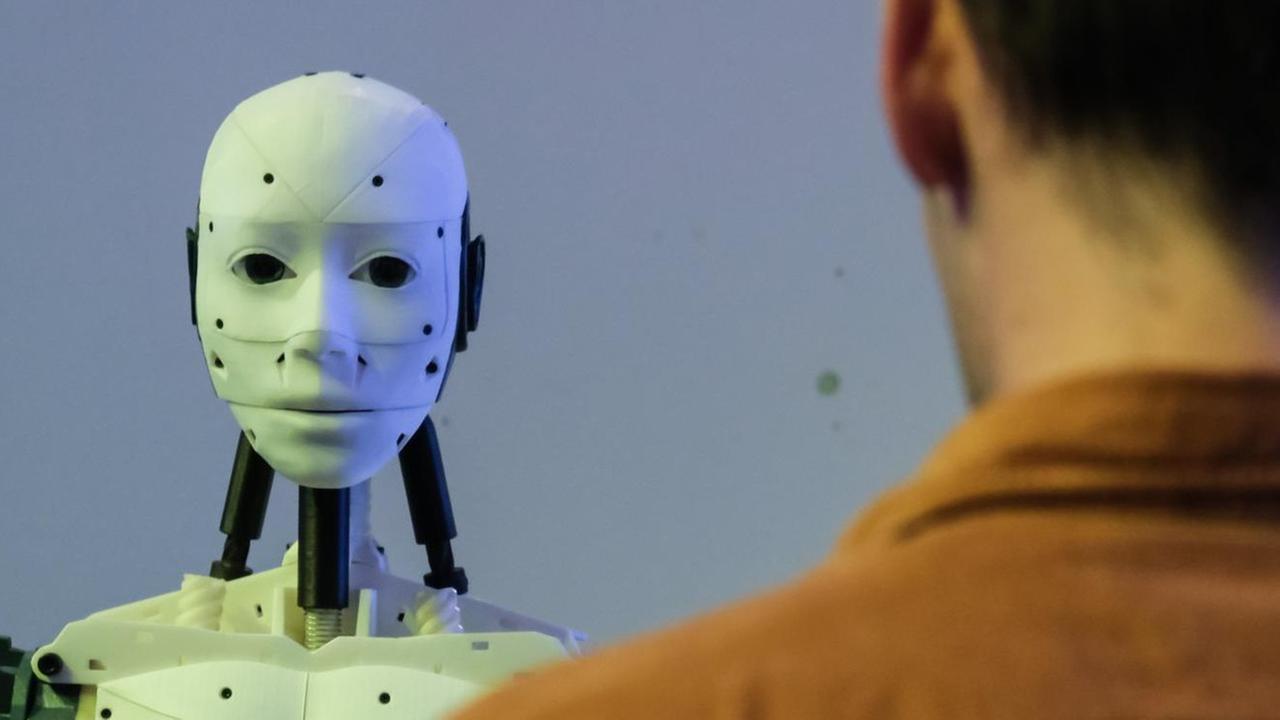 Ein humanoider Roboter bei der 7. Futurapolis High Tech Messe im französischen Toulouse 2018 Ein humanoider Roboter bei der 7. Futurapolis High Tech Messe im französischen Toulouse 2018