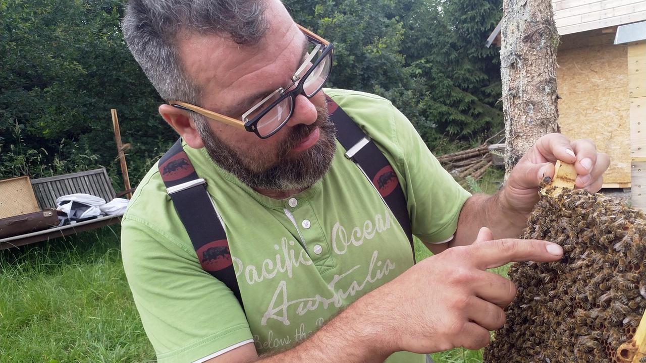 Tobias Scheffe, genannt Tosch, mit seinen Bienen. Tobias Scheffe, genannt Tosch, mit seinen Bienen.