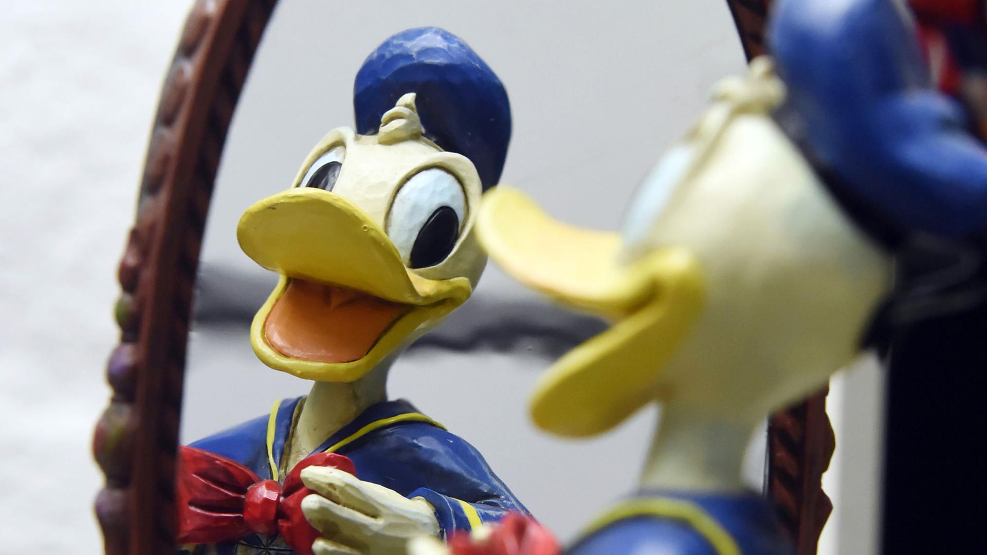 Eine Donald Duck Figur die in einen Spiegel blickt aufgenommen am 30.05.2014 in einer Vitrine des Donald Duck Sammlers Martin Wacker in Karlsruhe. Wacker sammelt alles rund um die Comic- und Zeichentrickfilm-Figur die am 09.06.2014 ihren 80. Geburtstag feiert. Eine Donald Duck Figur die in einen Spiegel blickt aufgenommen am 30.05.2014 in einer Vitrine des Donald Duck Sammlers Martin Wacker in Karlsruhe. Wacker sammelt alles rund um die Comic- und Zeichentrickfilm-Figur die am 09.06.2014 ihren 80. Geburtstag feiert.
